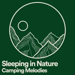 Sleeping in Nature Camping Melodies, Pt. 14