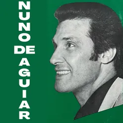 Nuno De Aguiar