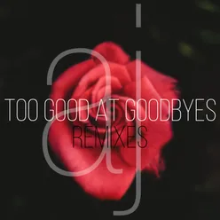 Too Good At Goodbyes