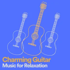 Charming Guitar Music for Relaxation, Pt. 6