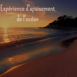 Expérience d'apaisement de l'océan