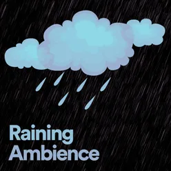 Raining Ambience, Pt. 5