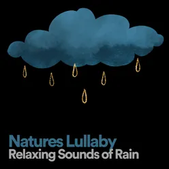 Natures Lullaby Relaxing Sounds of Rain, Pt. 2