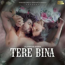 Tere Bina