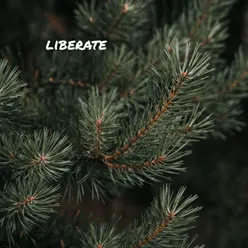 liberate