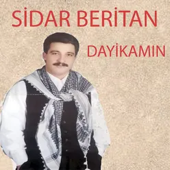 Dayikamın