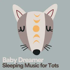 Baby Dreamer Sleeping Music for Tots