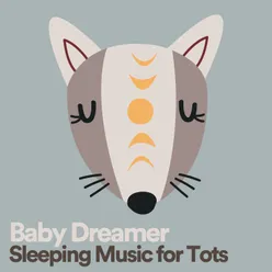 Baby Dreamer Sleeping Music for Tots, Pt. 12