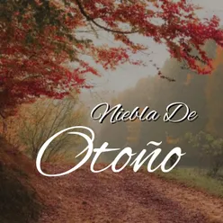 Niebla De Otoño