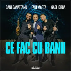 Ce fac cu banii