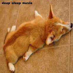 Deep Sleep Music