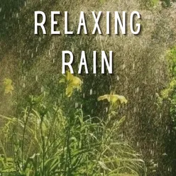 Relaxing Rain