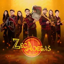 Zecadegas