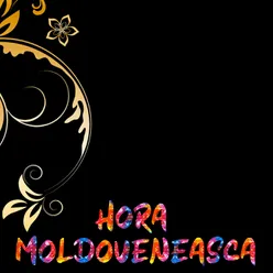 muzica moldoveneasca vesela