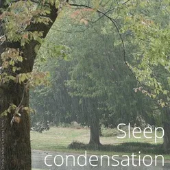 Rain Anti Insomnia