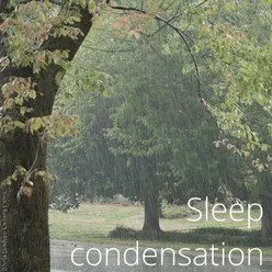 Rain Anti Insomnia To Rest