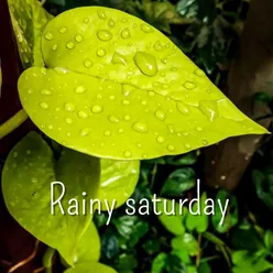 Rainy Saturday