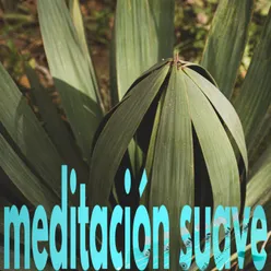 meditación suave