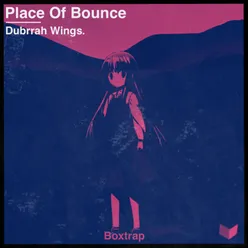 Place of Bounce