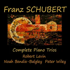 Piano Trio No. 1 in B-Flat Major, Op. 99, D. 898: No. 2, Andante, un poco mosso