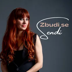 Zbudi se