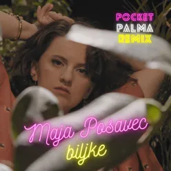 Biljke Pocket Palma Remix