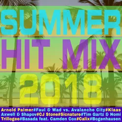 Summer Hit Mix 2018