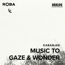 Music To Gaze & Wonder