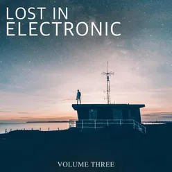 Lost in Electronic, Vol. 3