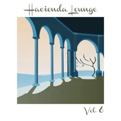 Hacienda Lounge, Vol. 6