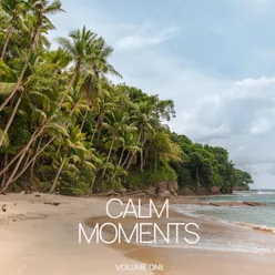 Calm Moments, Vol. 1