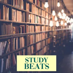 Study Beats, Vol. 1