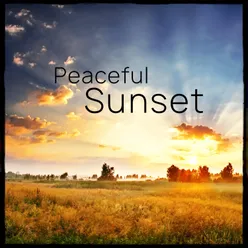 Peaceful Sunset, Vol. 4