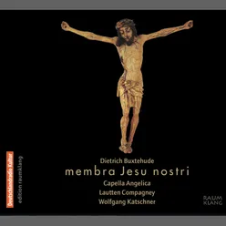 Jesu, meines Lebens Leben, BuxWV 62: Sinfonia