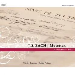 J. S. Bach - Motetten Meines Herzens Weide