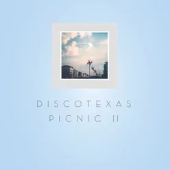 Discotexas Picnic II