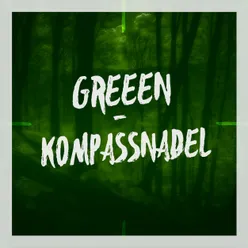 Kompassnadel