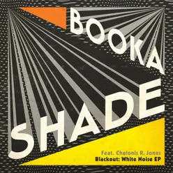 Blackout: White Noise Booka's Flash Mix