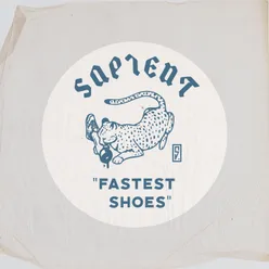 Fastest Shoes