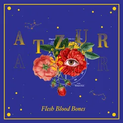 Flesh Blood Bones