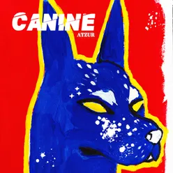 Canine