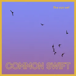 Common Swift