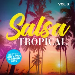 Salsa Tropical, Vol. 3: Best of Hot Latin Summer Hits