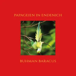 Papageien in Endenich