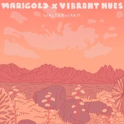 Marigold / Vibrant Hues