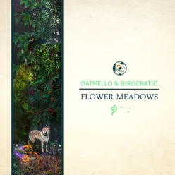 Flower Meadows