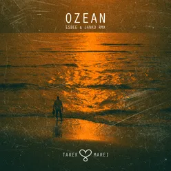 OZEAN eSBee & Janko RMX