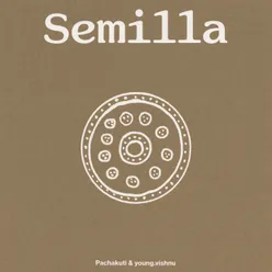 Semilla