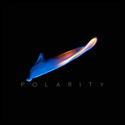 Polarity