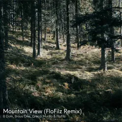 Mountain View FloFilz Remix